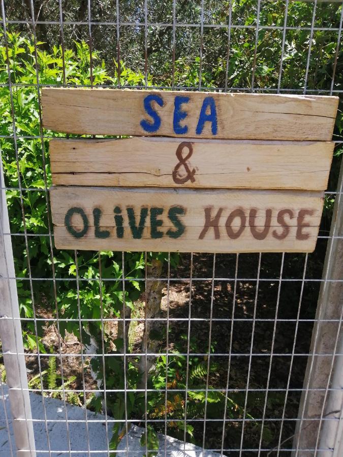 فيلا Sea & Olives House ليكسوري المظهر الخارجي الصورة