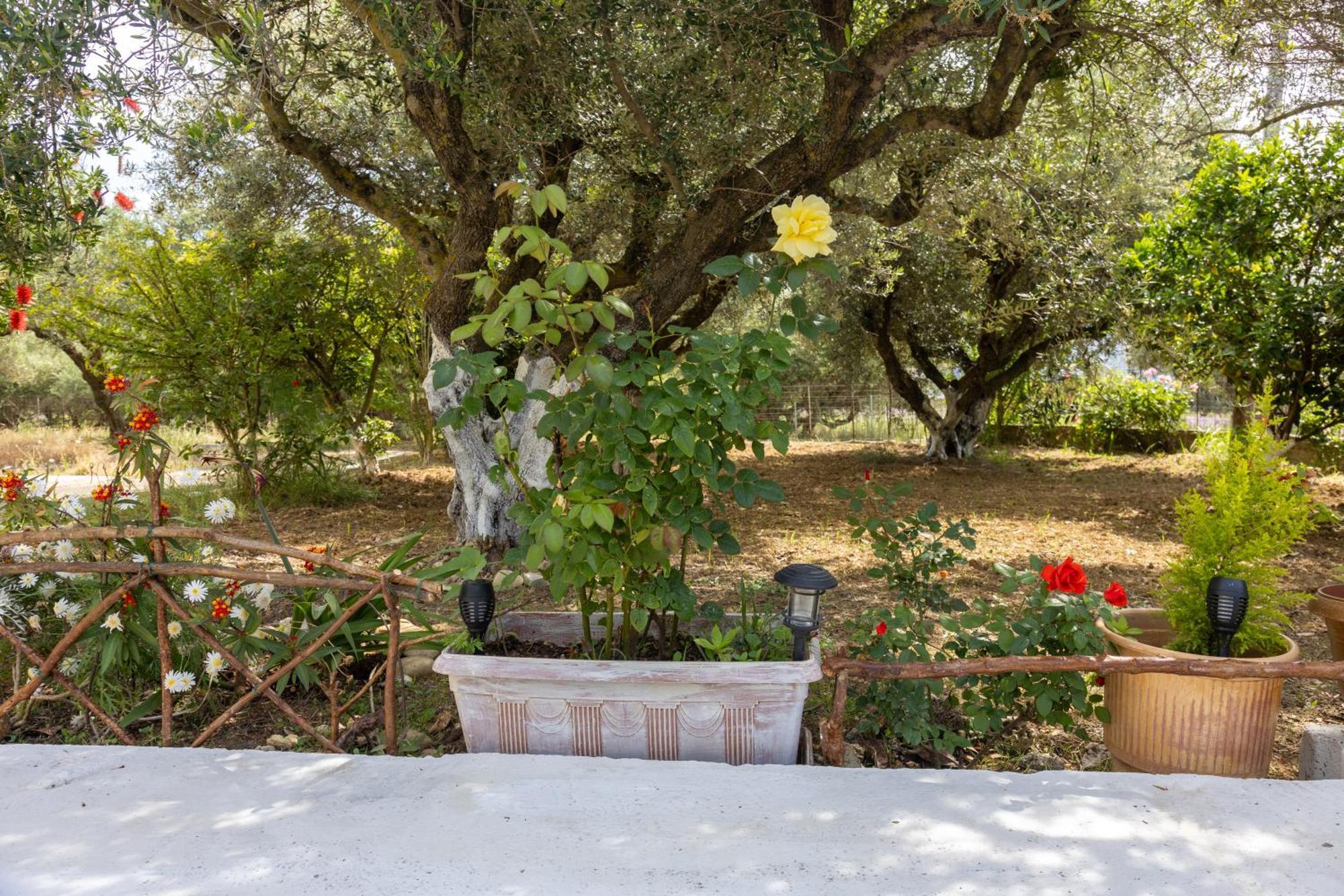 فيلا Sea & Olives House ليكسوري المظهر الخارجي الصورة
