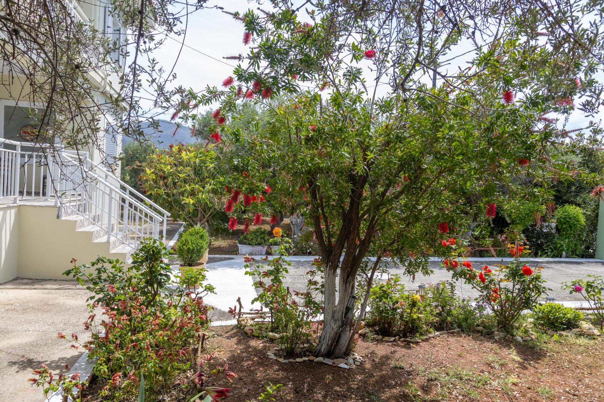 فيلا Sea & Olives House ليكسوري المظهر الخارجي الصورة